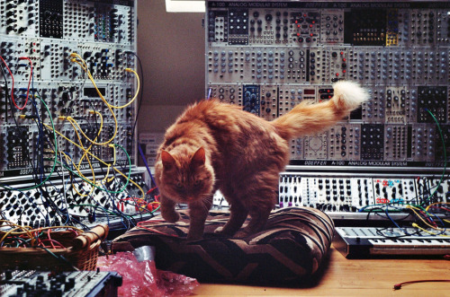 lord-kitschener: christmasonthemoon: Aphex Twin’s studio That’s him…that’s 