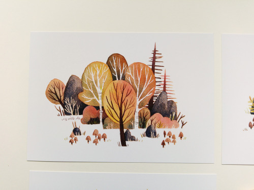 header and making of the header of my new twitter accountEDIT:Print set of my birch tree forest in m