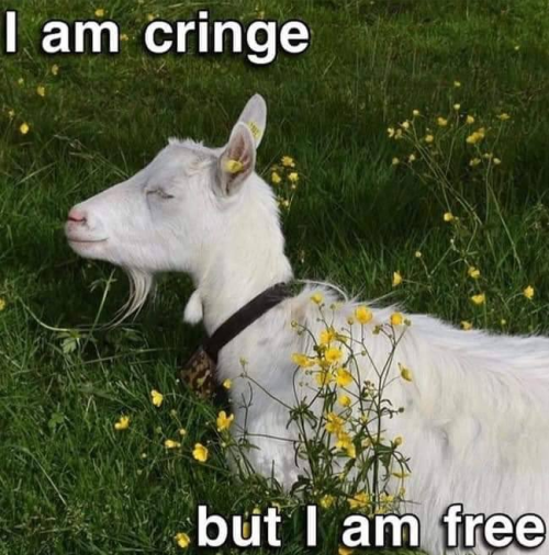 lilblueorchid: I am cringe but I am free Cringe, but free