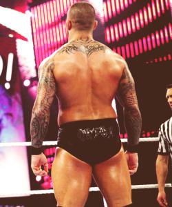 Well hello there Orton!