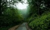 parsabad:Behshahr forest/ Mazandaran/ IranPhotographer: gholamreza ahmadi