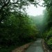 parsabad:Behshahr forest/ Mazandaran/ IranPhotographer: gholamreza ahmadi