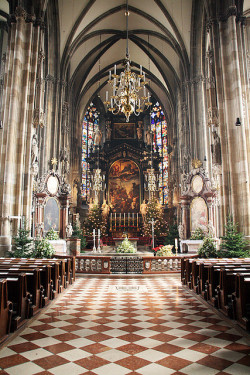 allthingseurope:  St. Stephen’s Cathedral
