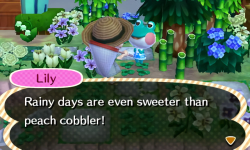 mayor-mochi - frogs are so cute!!