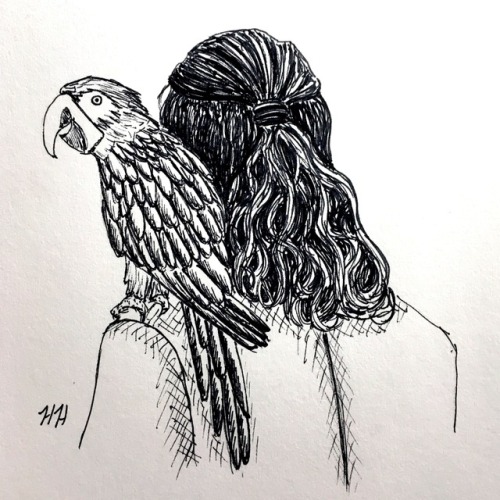 lifethe-universe-andeverything:Inktober Day 9: Screech (9/31)“Pieces of eight! Pieces of eight!”