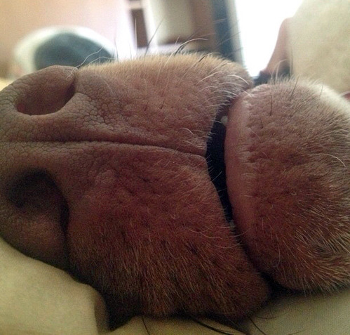 tastefullyoffensive:  &ldquo;Ever since my wife started working a night shift,