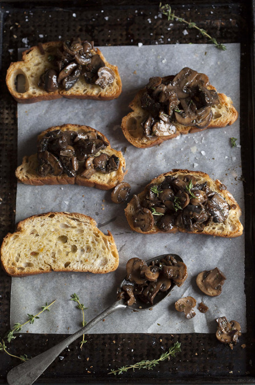 foodffs:mushroom ragout on oven baked toastReally nice recipes. Every hour.