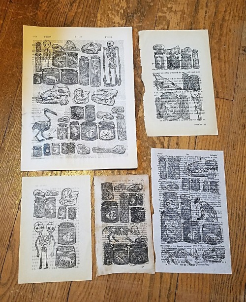 More relief printed cabinets of curiosities! The last set of four pages has no duplicate specimens.