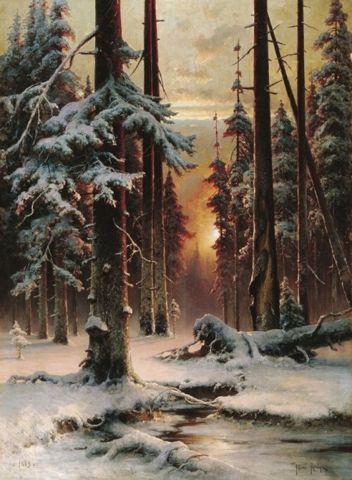 Often I walked in the neighboring forest of fir and pine, whose beauties, wonderful winter solitudes