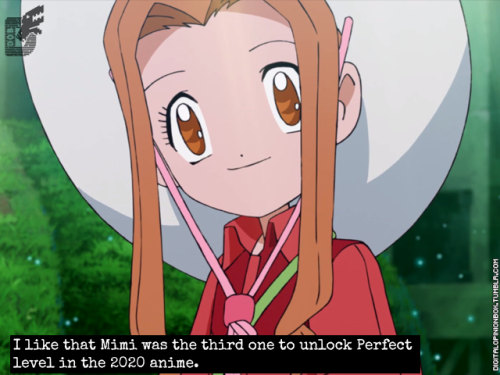  I like that Mimi was the third one to unlock Perfect level in the 2020 anime. It changes up the ord