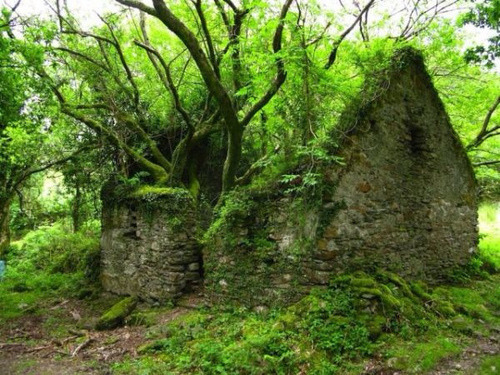 apethetic-euphoria:Abandoned House 