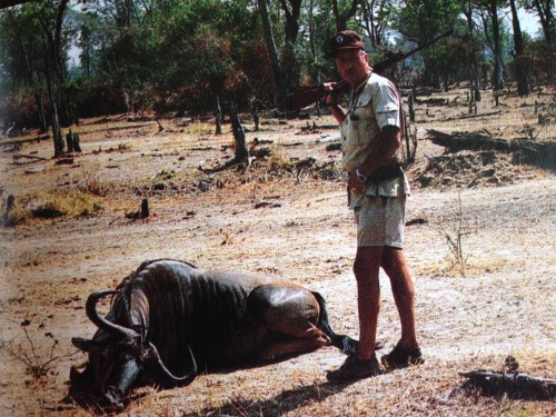 &ldquo;People come on safari only peripherally to hunt.  The wood smoke of seasoned mopane,