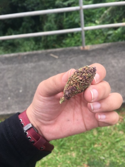 Lavender Kush 😈 adult photos