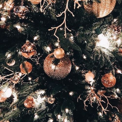 https://64.media.tumblr.com/3fbab2620a94a9217704f6caed6909c3/tumblr_p0mbzvFJeO1vw9p26o3_500.jpg