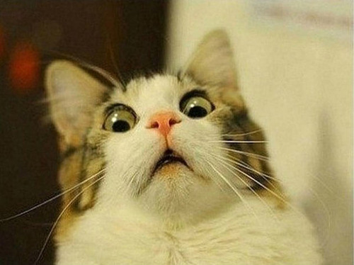 kimi-ni-sachi-are:  when you reread a book or rewatch a show/movie and you notice things          