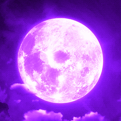 maasza-na:  ✿  K I L G R A V E  &amp;  A E S T H E T I C  ✿
