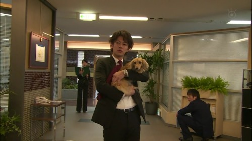 rice-cat: Bitter Blood episode 3: This dog was just too cute (he looks kind of like Sato-chan heh.)&