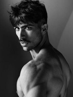 VIVA! ASIAN HUNKS! MY FAVORITE MEN　美男大全