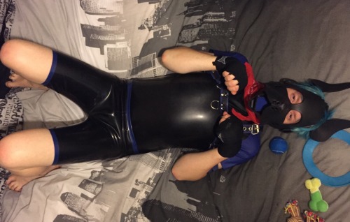 puppixel:  scoutpupp:  600 followers!!! Here is me in my rubber that I promised to show you :) Wruff  *drools* so pretty. *paws at the rubbery puppy* 
