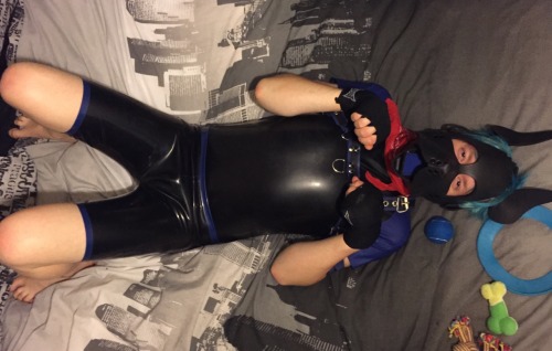 XXX puppixel:  scoutpupp:  600 followers!!! Here photo