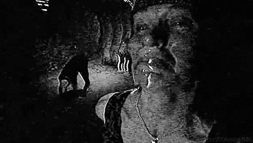 classichorrorblog:  The Poughkeepsie Tapes |2007| John Erick Dowdle