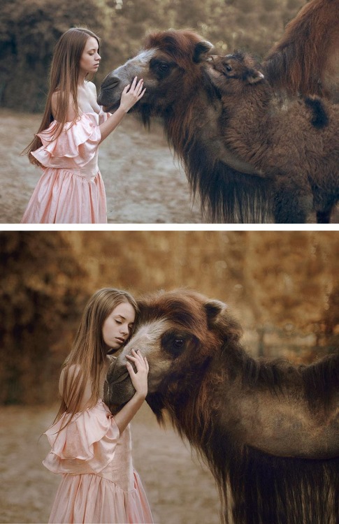 catastrophic-cuttlefish:  Russian photographer Katerina Plotnikova’s surrealist series using real animals; with the help of professional trainers. 