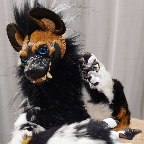 Turn out the hyena head makes a pretty good awd! #artdoll #africanwilddog #anthroart #furryart #worm