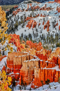 magicalnaturetour:  (via 500px / Sunrise at Bryce by Vanessa Kay)