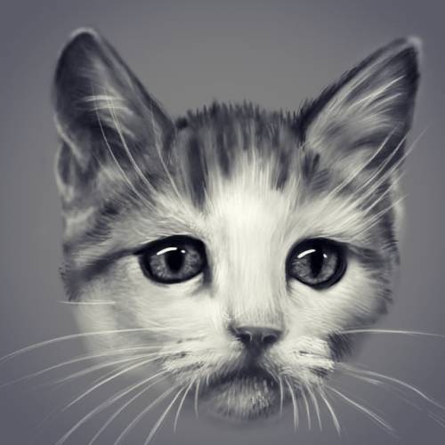 Heute habe ich live bei Twitch ein Bild von Sheila gemalt. Zum international catday… Das Reff