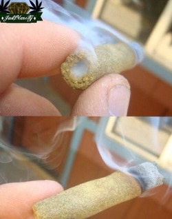 lilmissndn:  bluntrollerandsmoker:  Mendo blunt 🍁 no papers, no blunt wrap, no buds, just a hollow tube of bubble hash!! This will have you fucked up all day.   😳😳