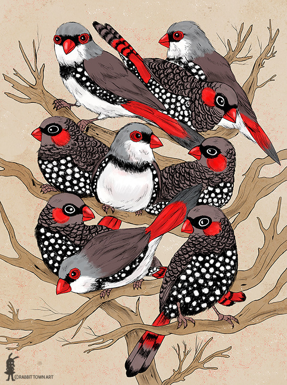 eatsleepdraw:  I love finches!  More of my work on my tumblr: rabbittownart 