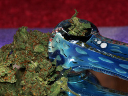 Another 420 Weed Blog