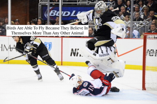 polomrmatthews:Pittsburgh Penguins + The Onion(other Penguins mashups here)