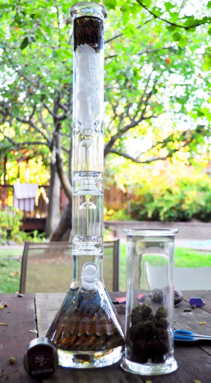 Porn reefer-goodness:  2 foot double perc AMG photos