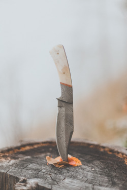 man-and-camera:  Damascus Steel ➾ Luke Gram