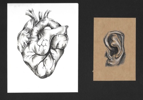 Listen to your heart. Black pen and water on paper. Black crayon/white crayon on brown paper.