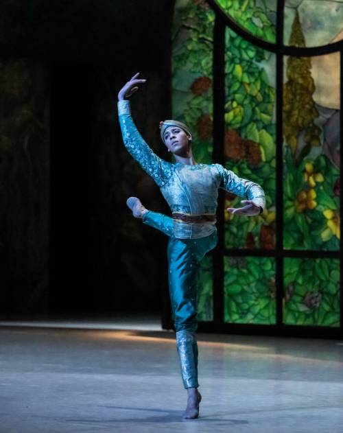  guillaume diop photographed performing as solor in la bayadère by julien benhamou