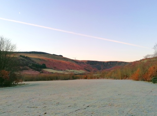 Frosty Morning