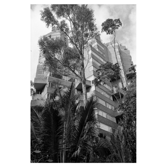 agfa structurix film agfa structurix film