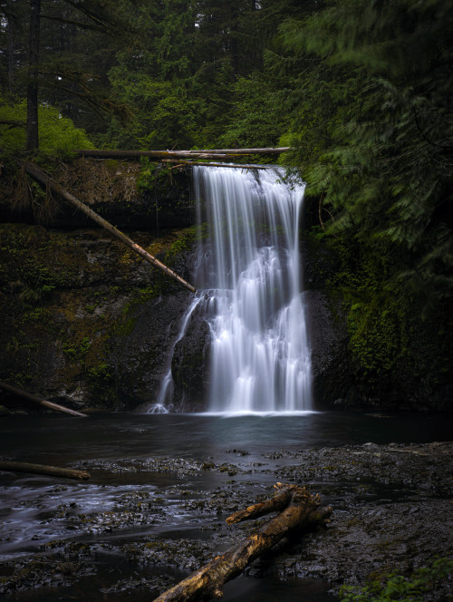 philotheoristic:Upper North Falls…beside and along the trail - on an intermittently drizzly day in the middle of Oregon