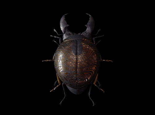 irakalan:   ENGRAVED ENTOMOLOGYArt Director and Creative 3D Designer BILLY BOGIATZOGLOU   [ previously here: GOLDEN SKULLS ] 