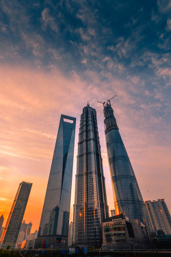 thelavishsociety:  Skyscrapers in Shanghai