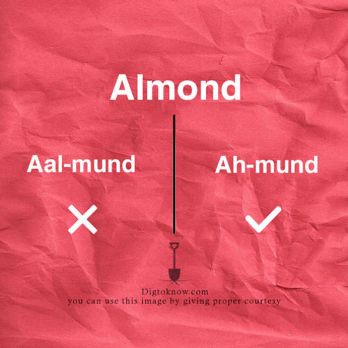 itsdivaduh:  raytwin:  innocenttmaan:  Lifestyle website “Dig To Know” has come up with a useful guide that clears up the common mispronunciation of some food names.  Ok I’ve been mispronouncing hummus, buffet, and bruschetta. Why hasn’t anyone