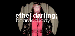 -americanhorrorstory:  american horror story blog