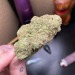 restingbluntface:Hells Fire, indica