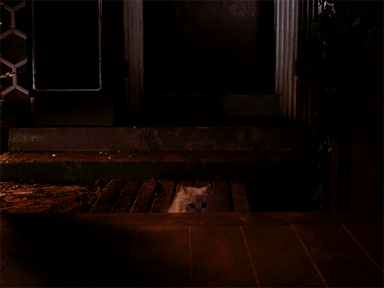 myellenficent:  Hausu (1977) Dir. Nobuhiko Obayashi