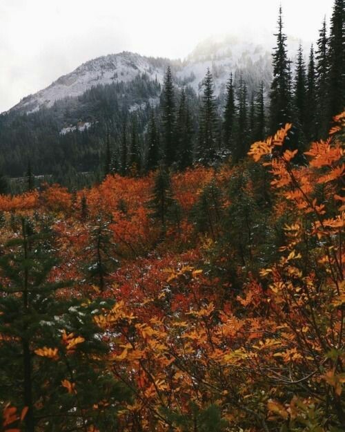 Autumn Cozy Aesthetics Autumn Cozy Aesthetics