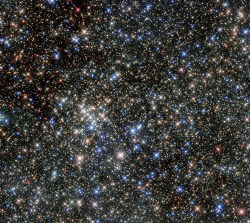 space-pics:  Hubble Uncovering the Secrets of the Quintuplet Cluster / Source / by NASA Goddard Photo and Video 