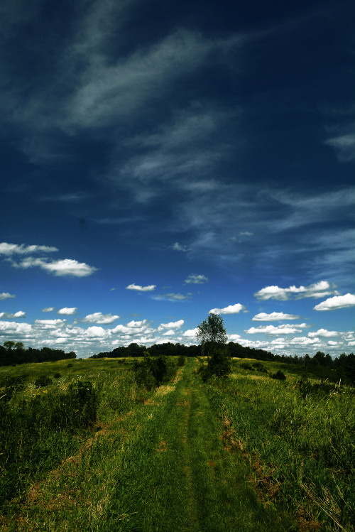 Far upon the grasslands