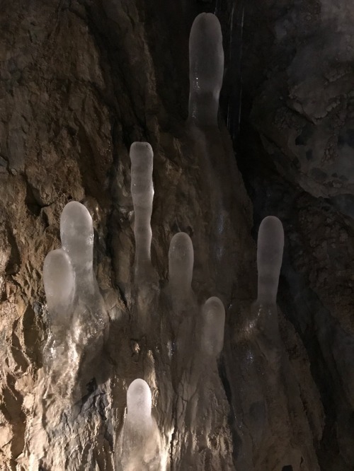 nastyspells:wizardpotions: cave dwelling girls make do